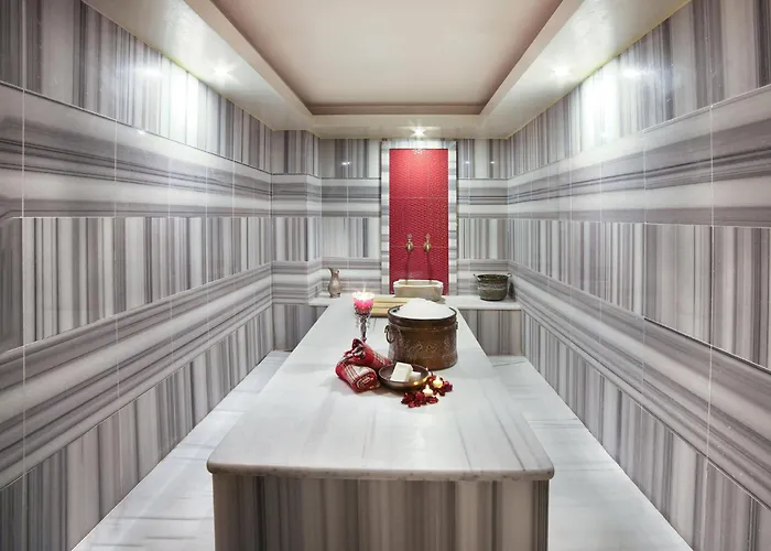 Great Fortune Hotel & Spa Estambul